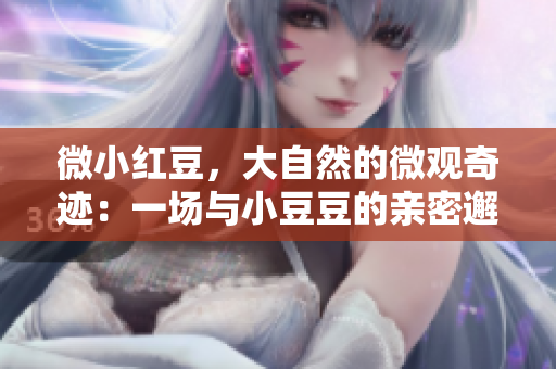 微小红豆，大自然的微观奇迹：一场与小豆豆的亲密邂逅