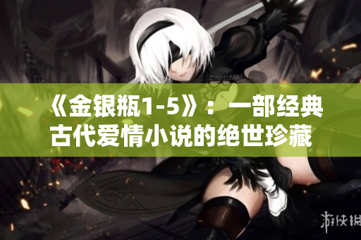 《金银瓶1-5》：一部经典古代爱情小说的绝世珍藏