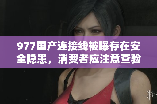 977国产连接线被曝存在安全隐患，消费者应注意查验购买
