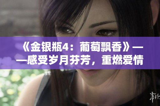 《金银瓶4：葡萄飘香》——感受岁月芬芳，重燃爱情火焰