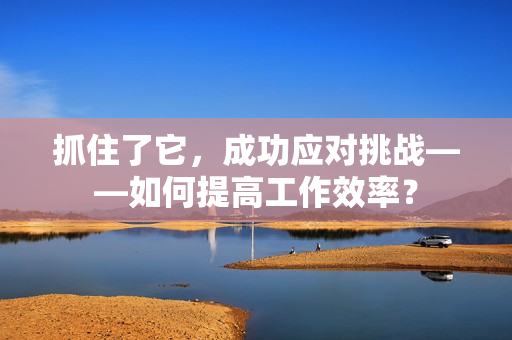 抓住了它，成功应对挑战——如何提高工作效率？
