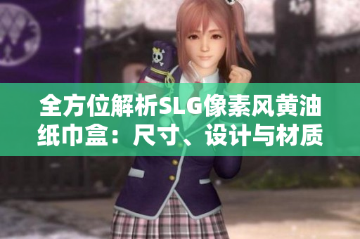 全方位解析SLG像素风黄油纸巾盒：尺寸、设计与材质一网打尽