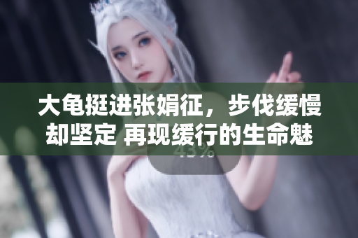 大龟挺进张娟征，步伐缓慢却坚定 再现缓行的生命魅力