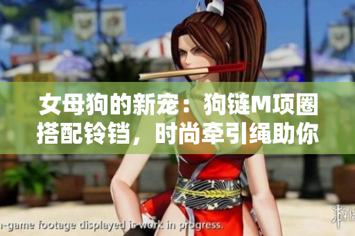 女母狗的新宠：狗链M项圈搭配铃铛，时尚牵引绳助你与爱犬共享悠闲时光