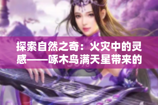 探索自然之奇：火灾中的灵感——啄木鸟满天星带来的灭火宝贝