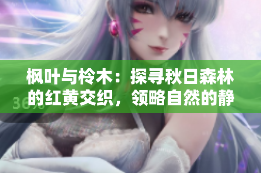 枫叶与柃木：探寻秋日森林的红黄交织，领略自然的静谧与美丽