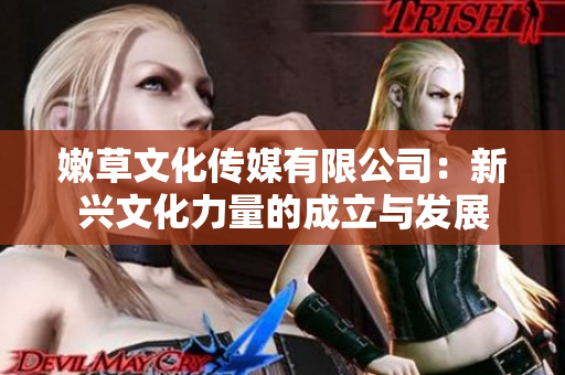 嫩草文化传媒有限公司：新兴文化力量的成立与发展