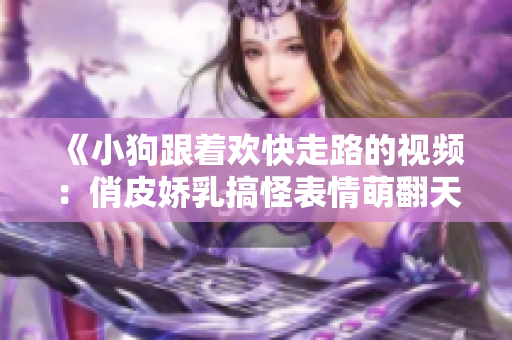 《小狗跟着欢快走路的视频：俏皮娇乳搞怪表情萌翻天》