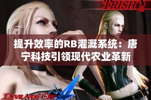 提升效率的RB灌溉系统：唐宁科技引领现代农业革新