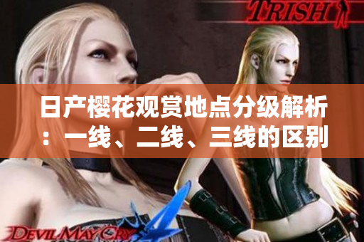日产樱花观赏地点分级解析：一线、二线、三线的区别在哪？