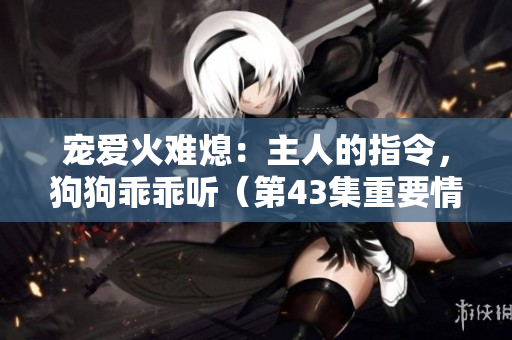 宠爱火难熄：主人的指令，狗狗乖乖听（第43集重要情节剧透）