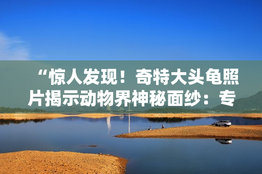 “惊人发现！奇特大头龟照片揭示动物界神秘面纱：专家称其可能为新物种！”