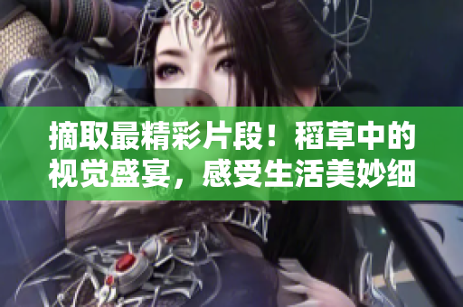摘取最精彩片段！稻草中的视觉盛宴，感受生活美妙细节。