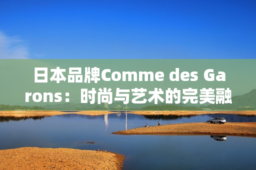 日本品牌Comme des Garons：时尚与艺术的完美融合