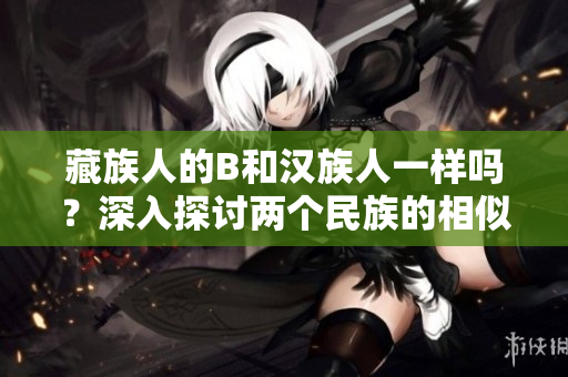 藏族人的B和汉族人一样吗？深入探讨两个民族的相似与差异