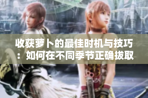 收获萝卜的最佳时机与技巧：如何在不同季节正确拔取和存储萝卜