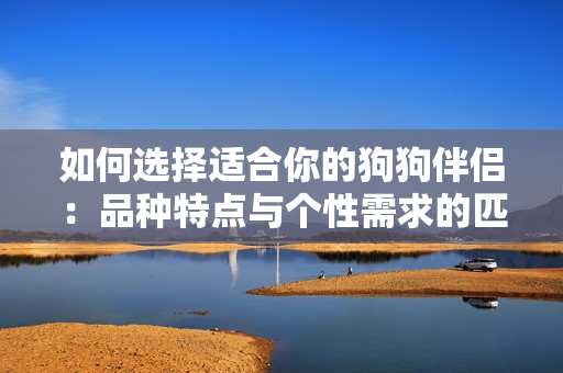 如何选择适合你的狗狗伴侣：品种特点与个性需求的匹配