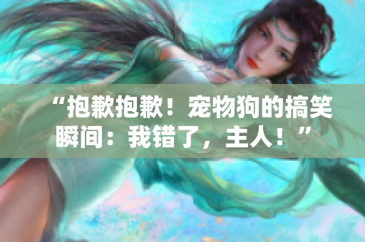 “抱歉抱歉！宠物狗的搞笑瞬间：我错了，主人！”