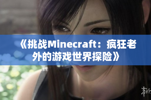 《挑战Minecraft：疯狂老外的游戏世界探险》