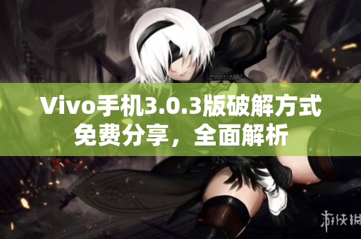Vivo手机3.0.3版破解方式免费分享，全面解析