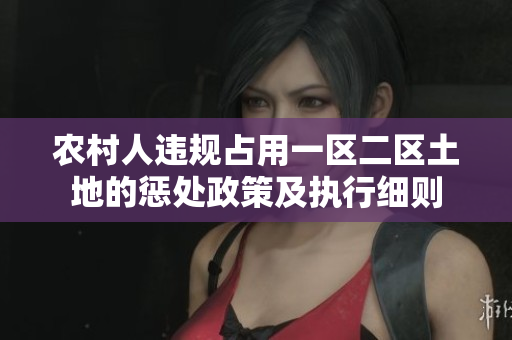 农村人违规占用一区二区土地的惩处政策及执行细则