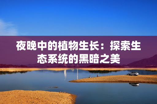 夜晚中的植物生长：探索生态系统的黑暗之美