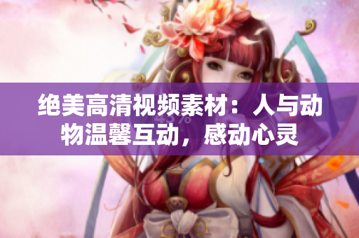 绝美高清视频素材：人与动物温馨互动，感动心灵