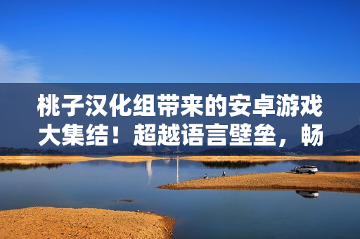 桃子汉化组带来的安卓游戏大集结！超越语言壁垒，畅玩精彩游戏！