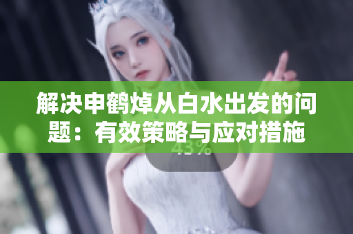 解决申鹤焯从白水出发的问题：有效策略与应对措施