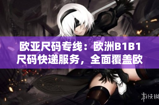 欧亚尺码专线：欧洲B1B1尺码快递服务，全面覆盖欧洲地区