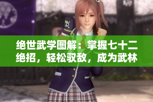 绝世武学图解：掌握七十二绝招，轻松驭敌，成为武林传奇！