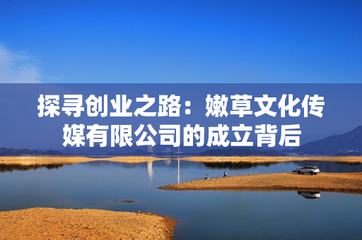 探寻创业之路：嫩草文化传媒有限公司的成立背后