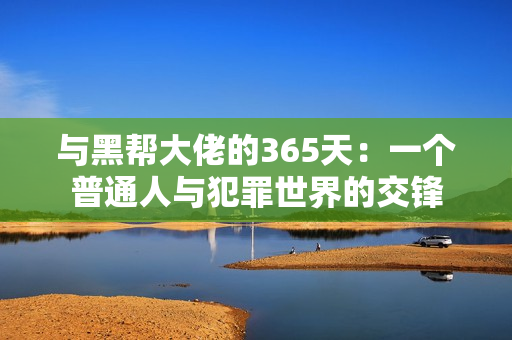 与黑帮大佬的365天：一个普通人与犯罪世界的交锋