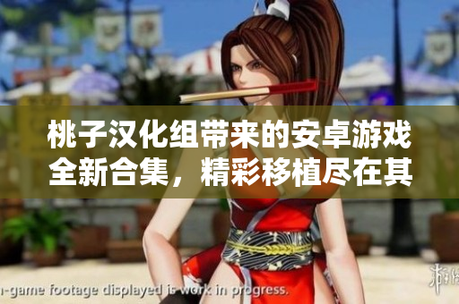 桃子汉化组带来的安卓游戏全新合集，精彩移植尽在其中。