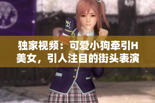 独家视频：可爱小狗牵引H美女，引人注目的街头表演