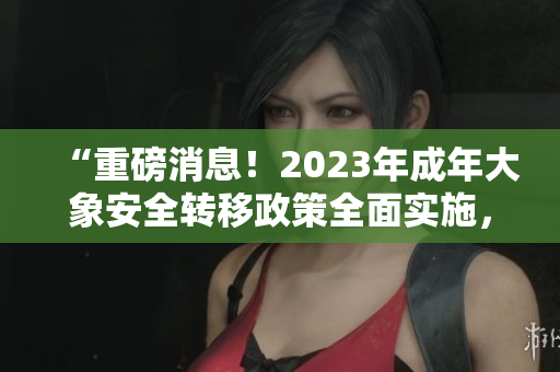 “重磅消息！2023年成年大象安全转移政策全面实施，关注焦点”