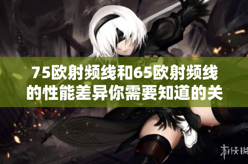 75欧射频线和65欧射频线的性能差异你需要知道的关键区别