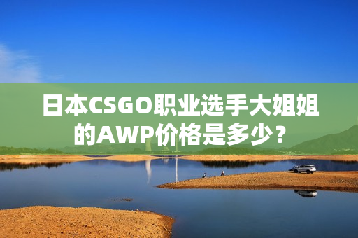 日本CSGO职业选手大姐姐的AWP价格是多少？