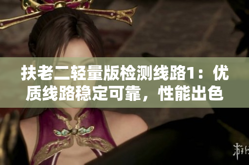 扶老二轻量版检测线路1：优质线路稳定可靠，性能出色，性价比超高