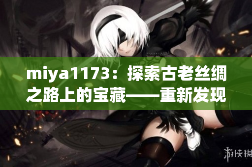 miya1173：探索古老丝绸之路上的宝藏——重新发现历史的魅力