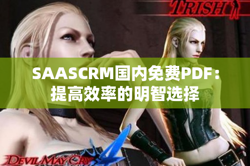 SAASCRM国内免费PDF：提高效率的明智选择