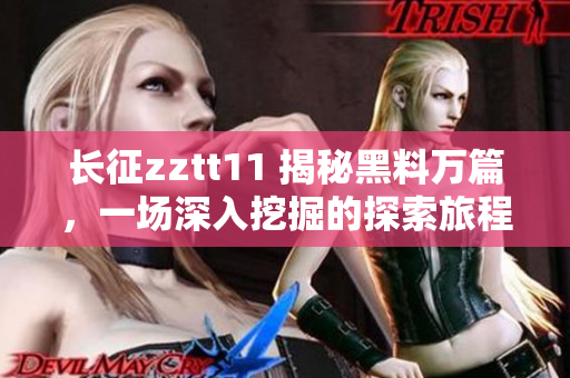 长征zztt11 揭秘黑料万篇，一场深入挖掘的探索旅程