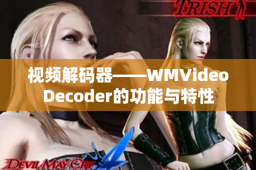 视频解码器——WMVideoDecoder的功能与特性