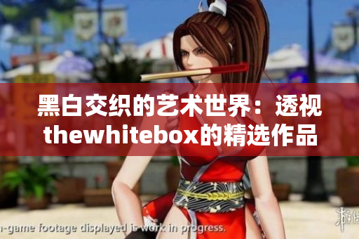 黑白交织的艺术世界：透视thewhitebox的精选作品