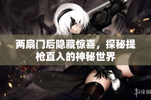 两扇门后隐藏惊喜，探秘提枪直入的神秘世界
