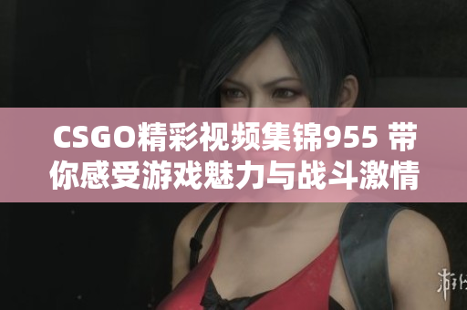 CSGO精彩视频集锦955 带你感受游戏魅力与战斗激情