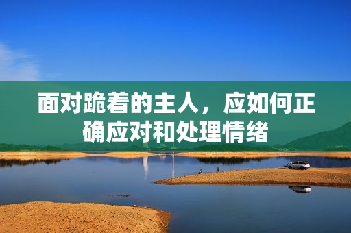 面对跪着的主人，应如何正确应对和处理情绪