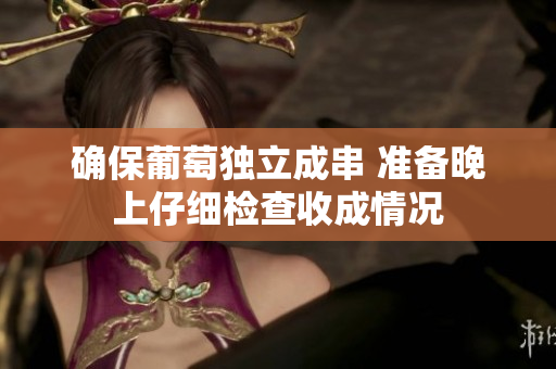确保葡萄独立成串 准备晚上仔细检查收成情况