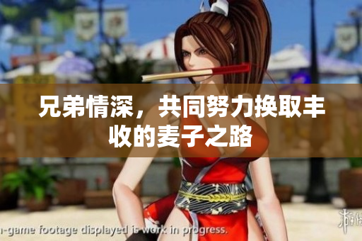 兄弟情深，共同努力换取丰收的麦子之路