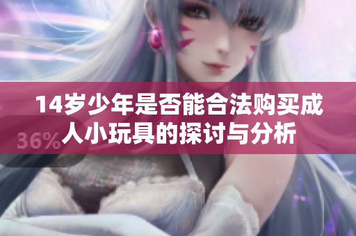 14岁少年是否能合法购买成人小玩具的探讨与分析
